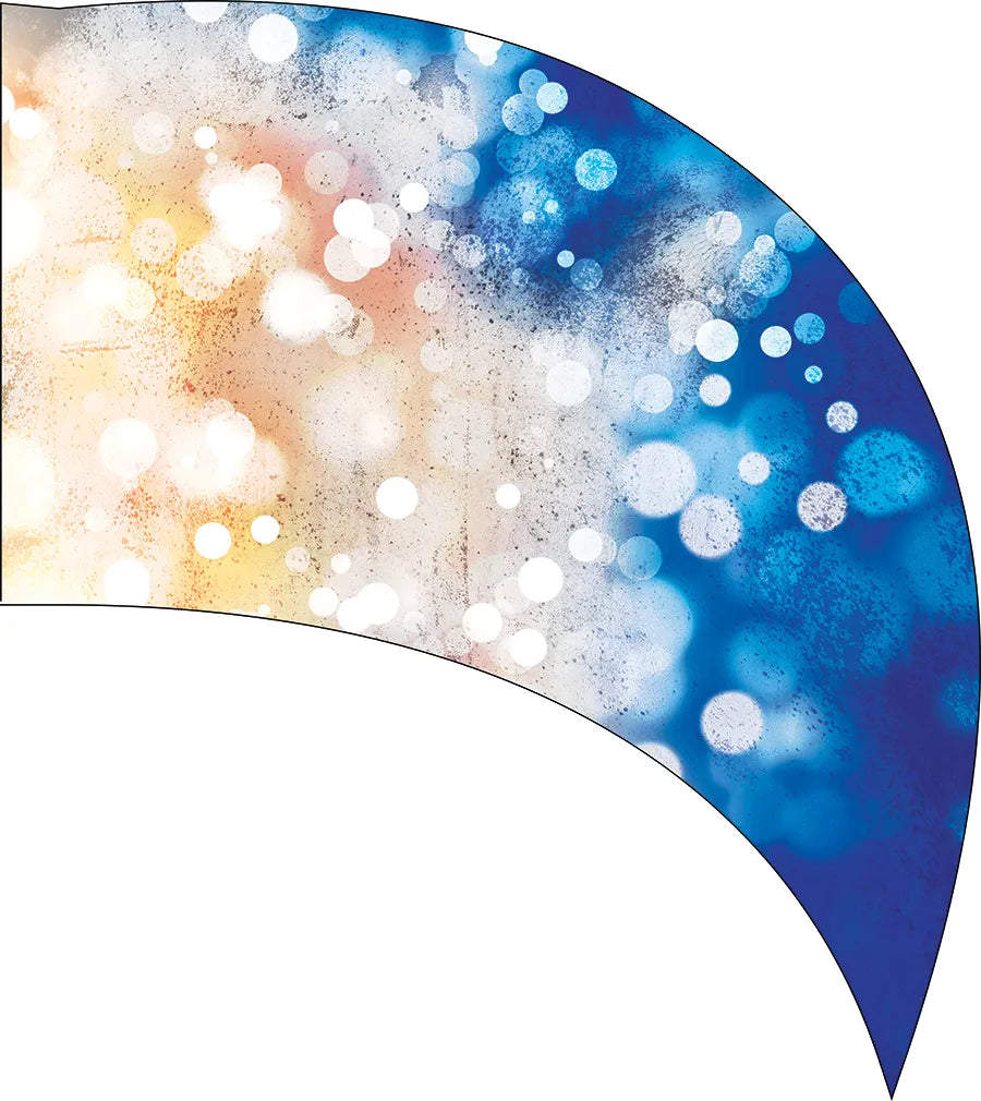 PP-0006-IG