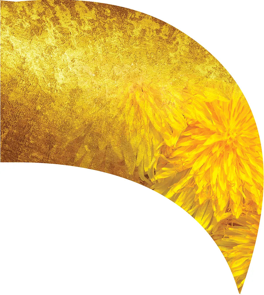PP-0797-IG