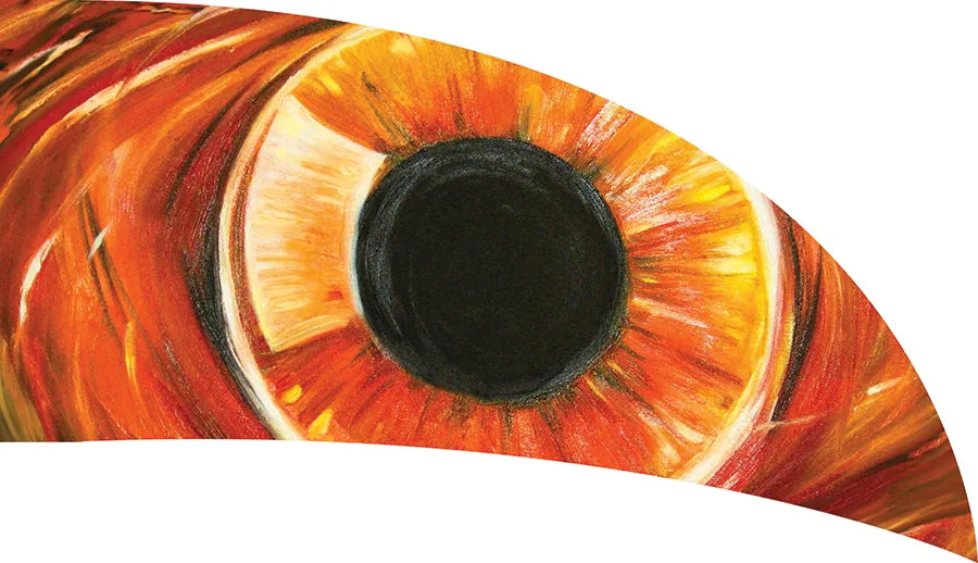 TES002