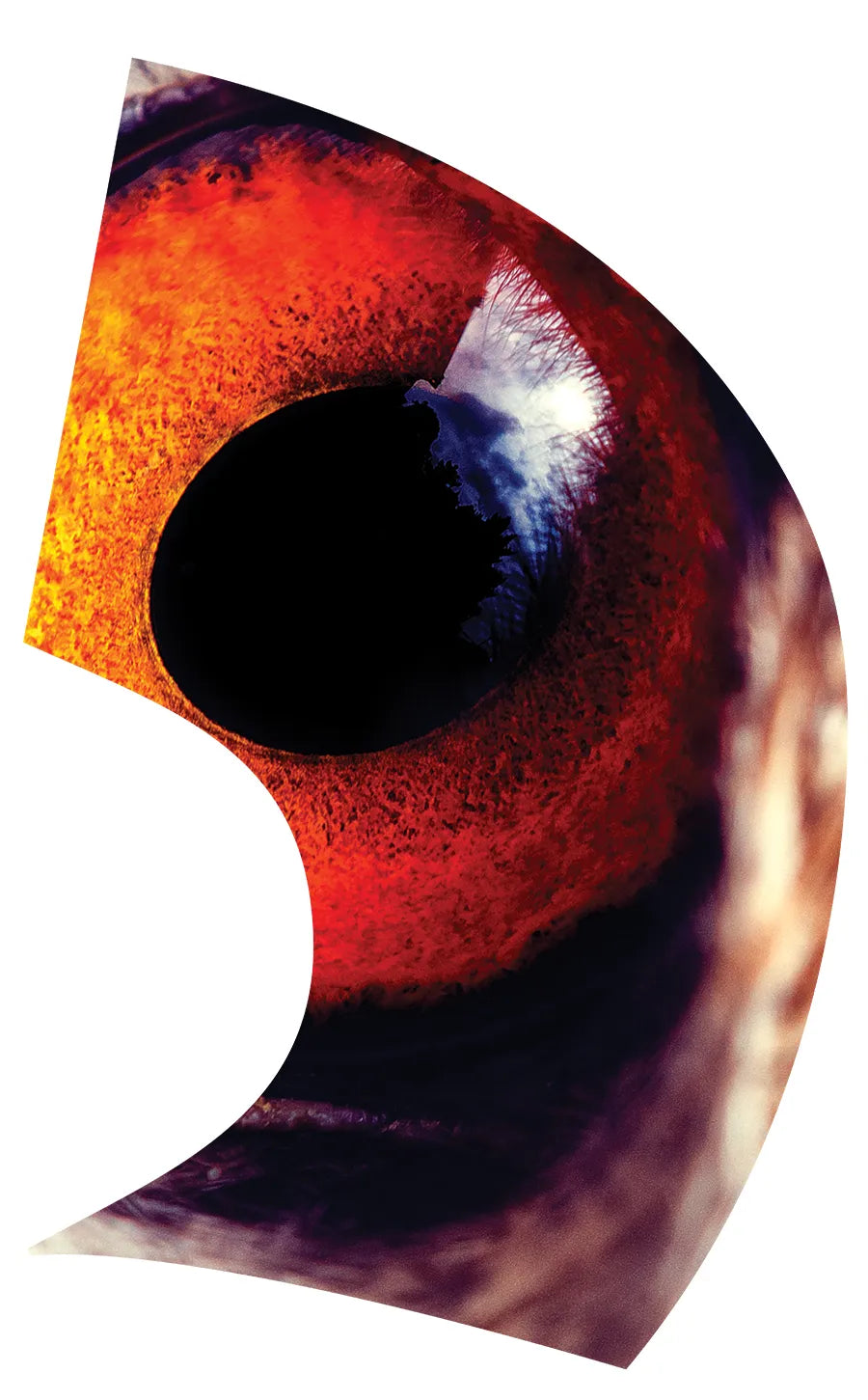 TES003
