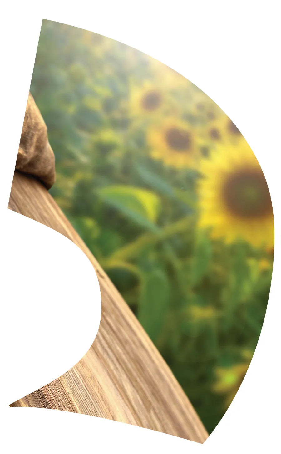 TES005