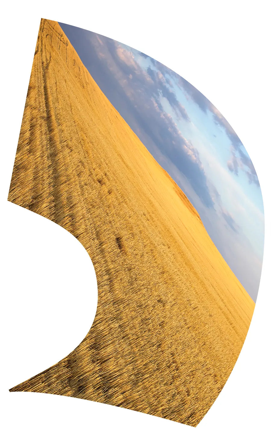 TES006