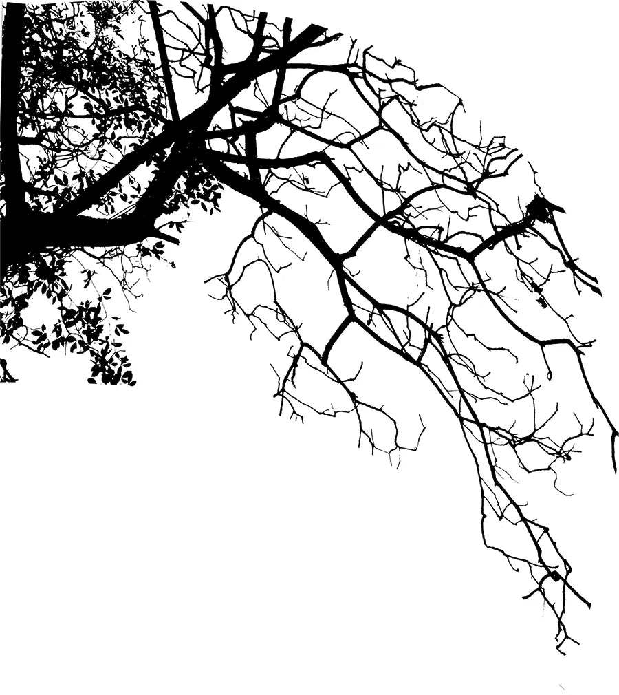 TES009