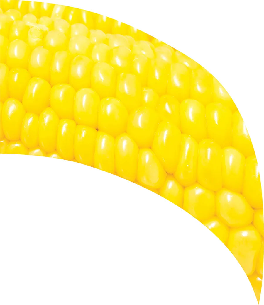 TES017
