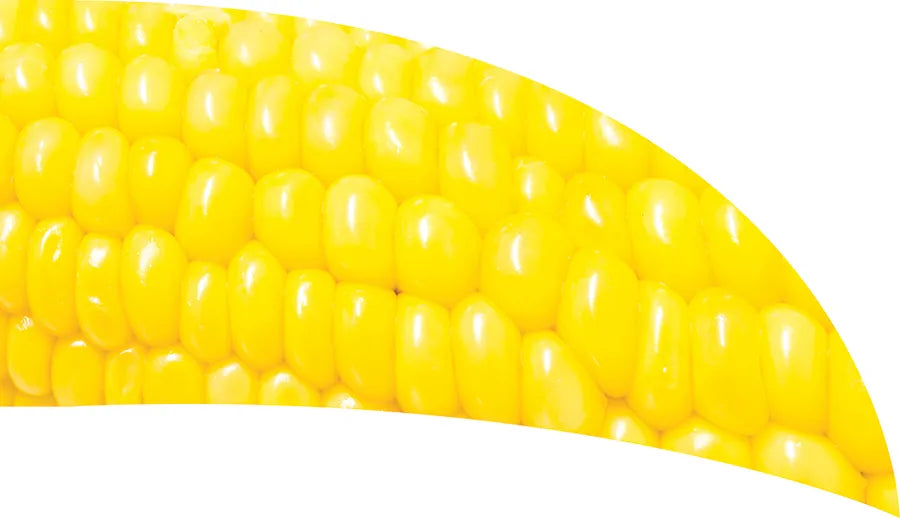 TES017