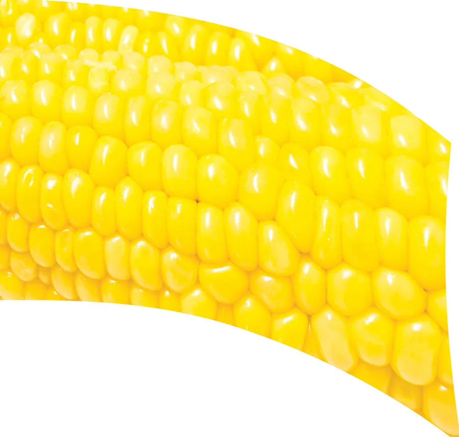 TES017