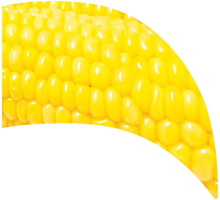 TES017