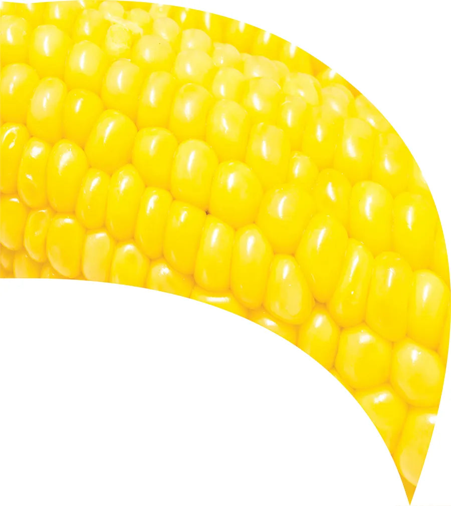 TES017