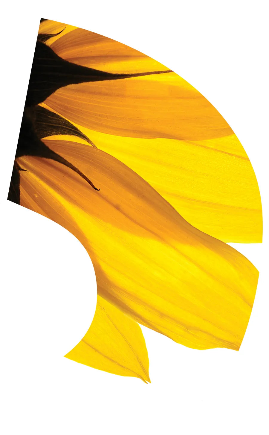 TES020