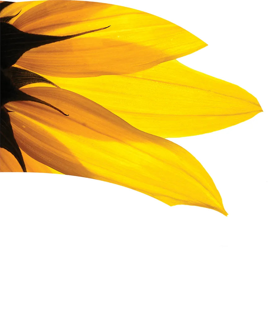 TES020