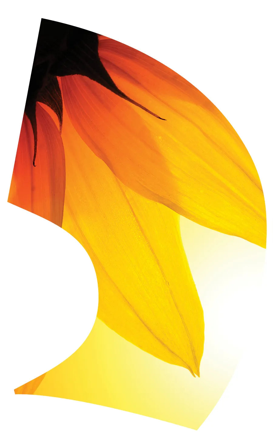 TES028