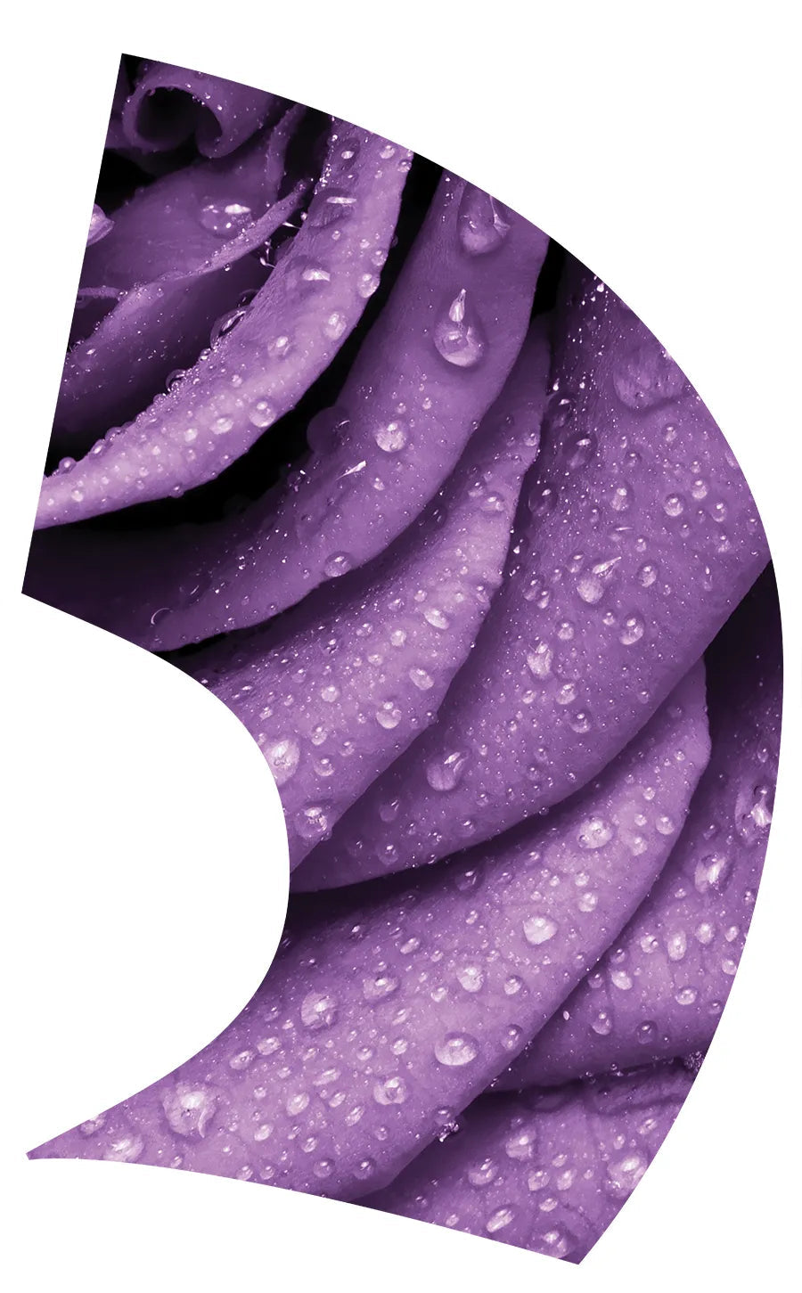 TTH331