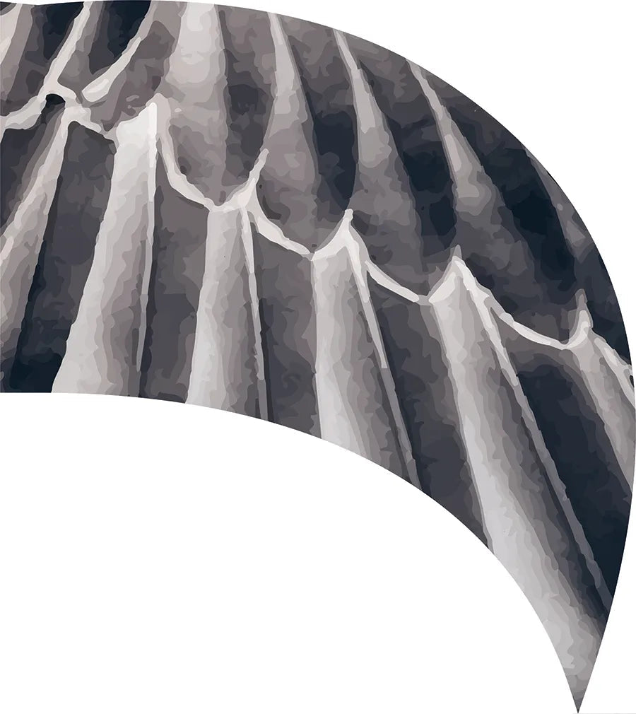 TTH340