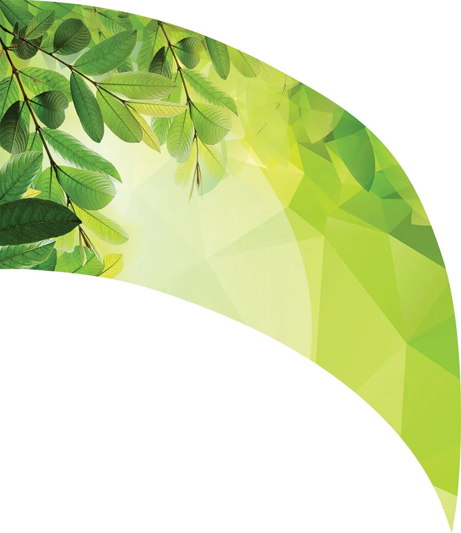 PP-0005-SS