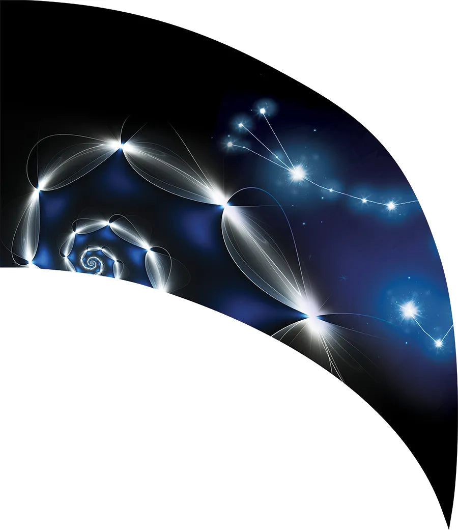 PP-0012-SS
