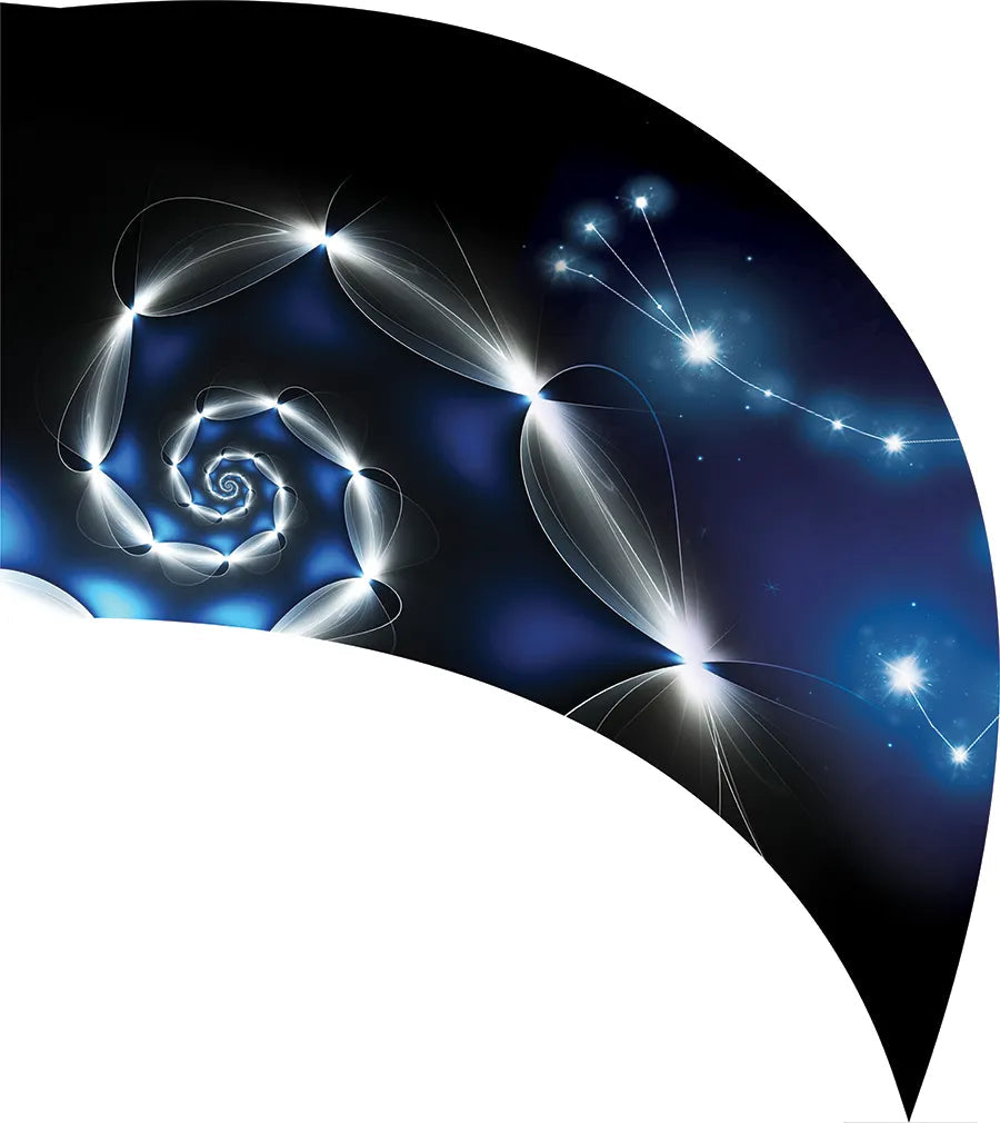 PP-0012-SS