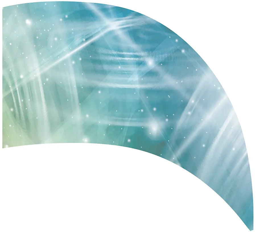 PP-0020-SS