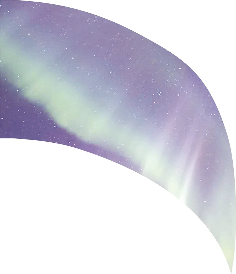 PP-0021-SS