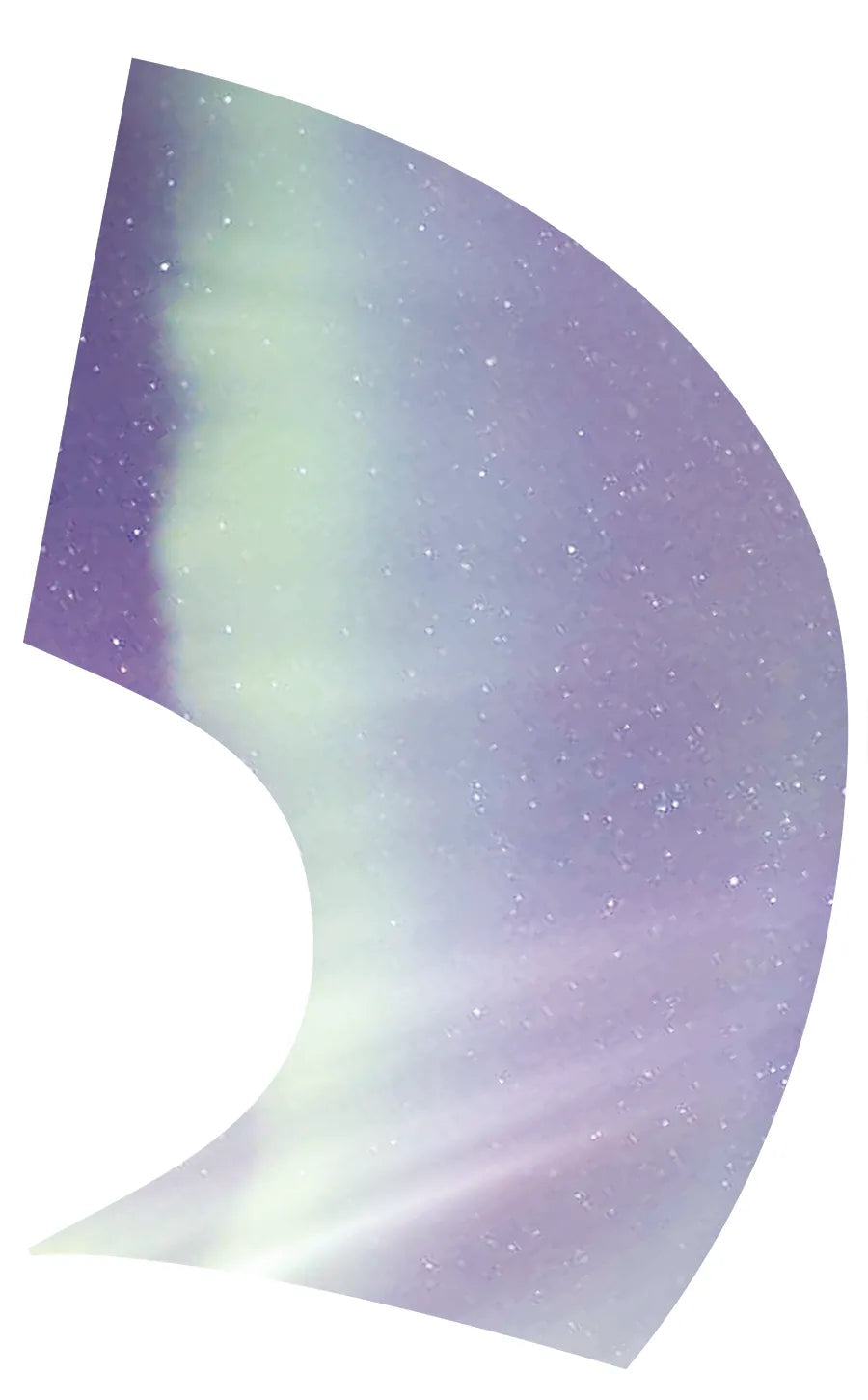 PP-0021-SS
