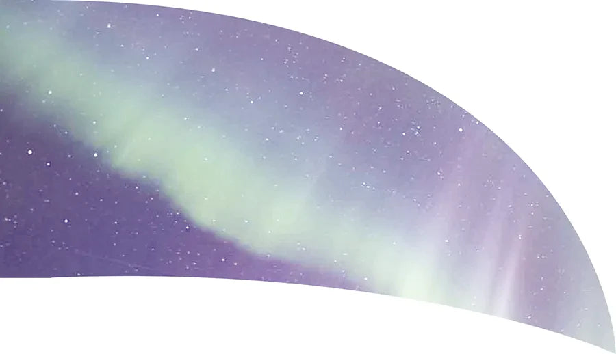 PP-0021-SS