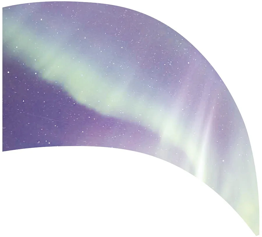PP-0021-SS