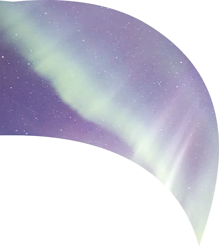 PP-0021-SS