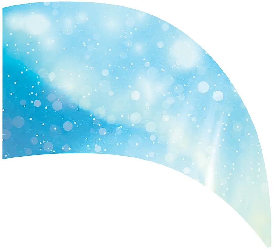 PP-0022-SS