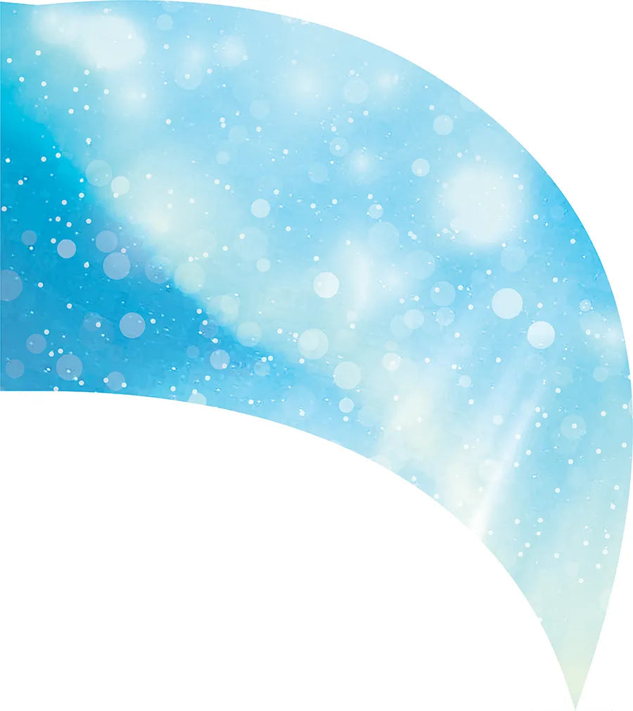 PP-0022-SS