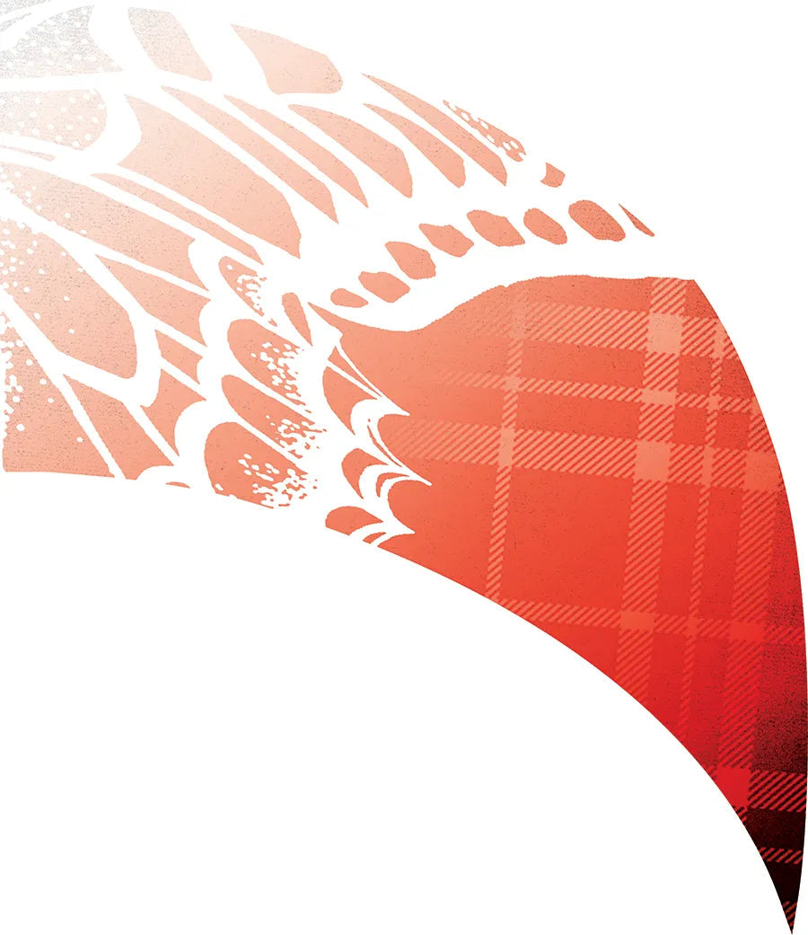 PP-0141-SS