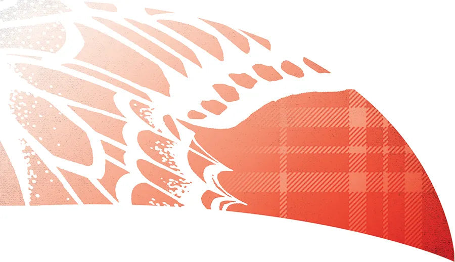 PP-0141-SS