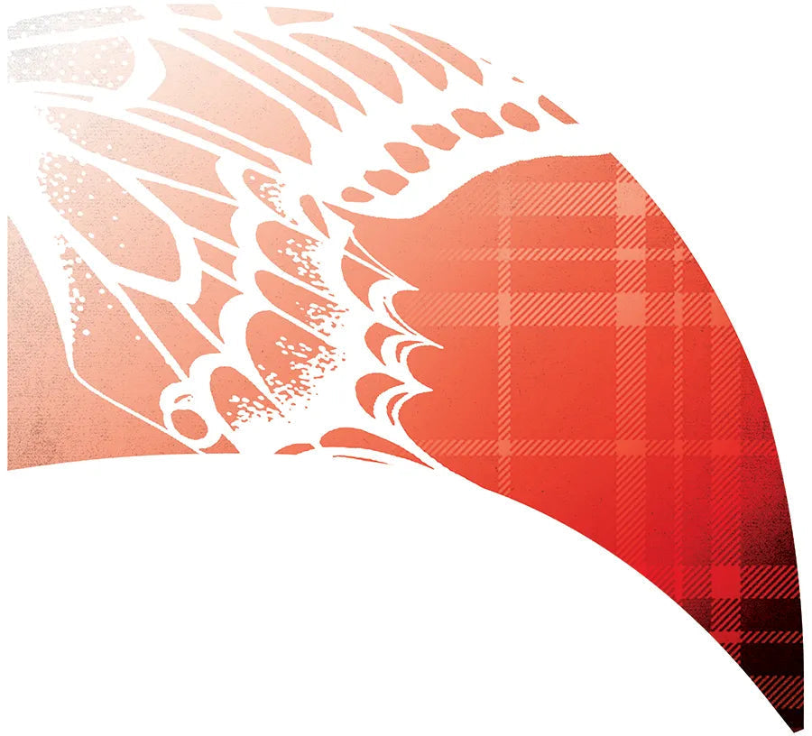 PP-0141-SS