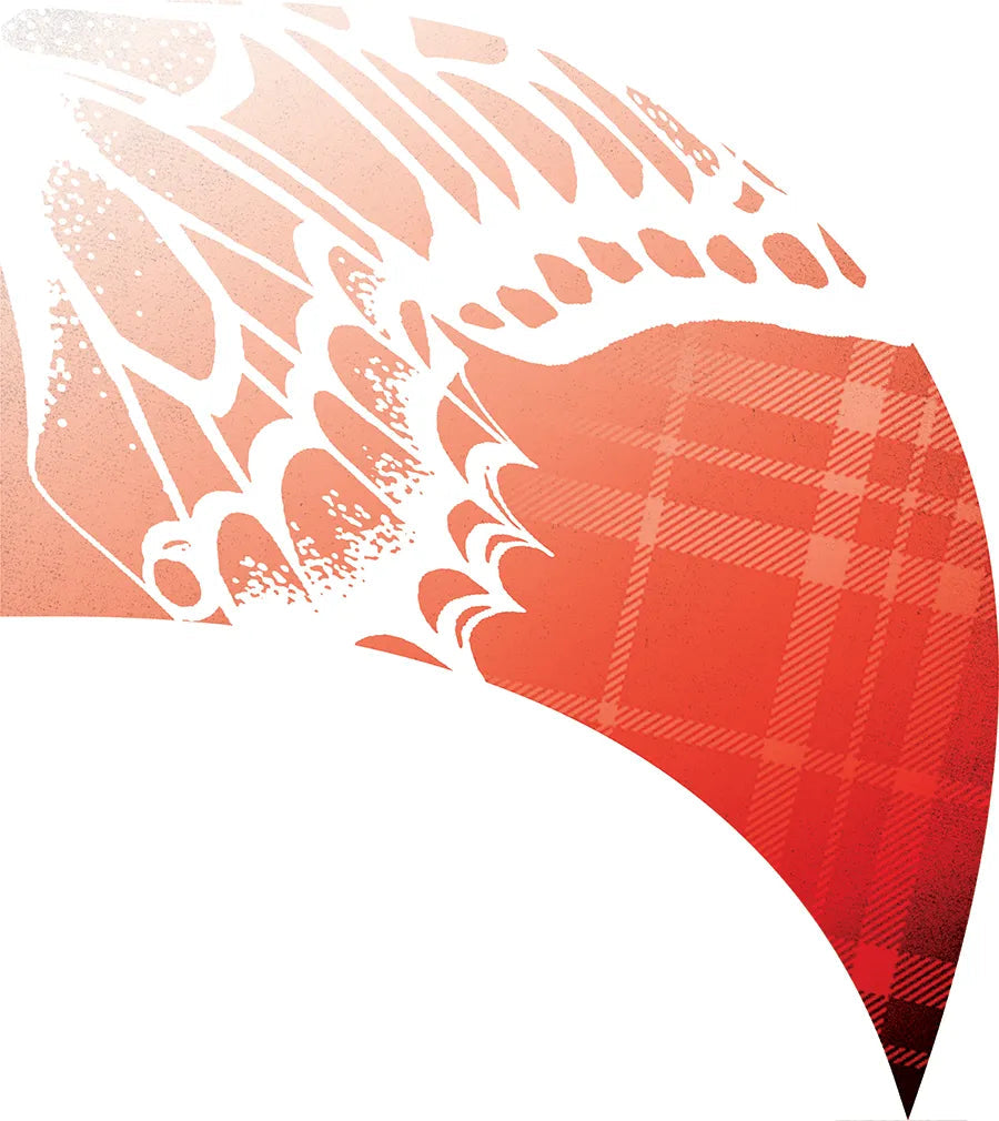 PP-0141-SS