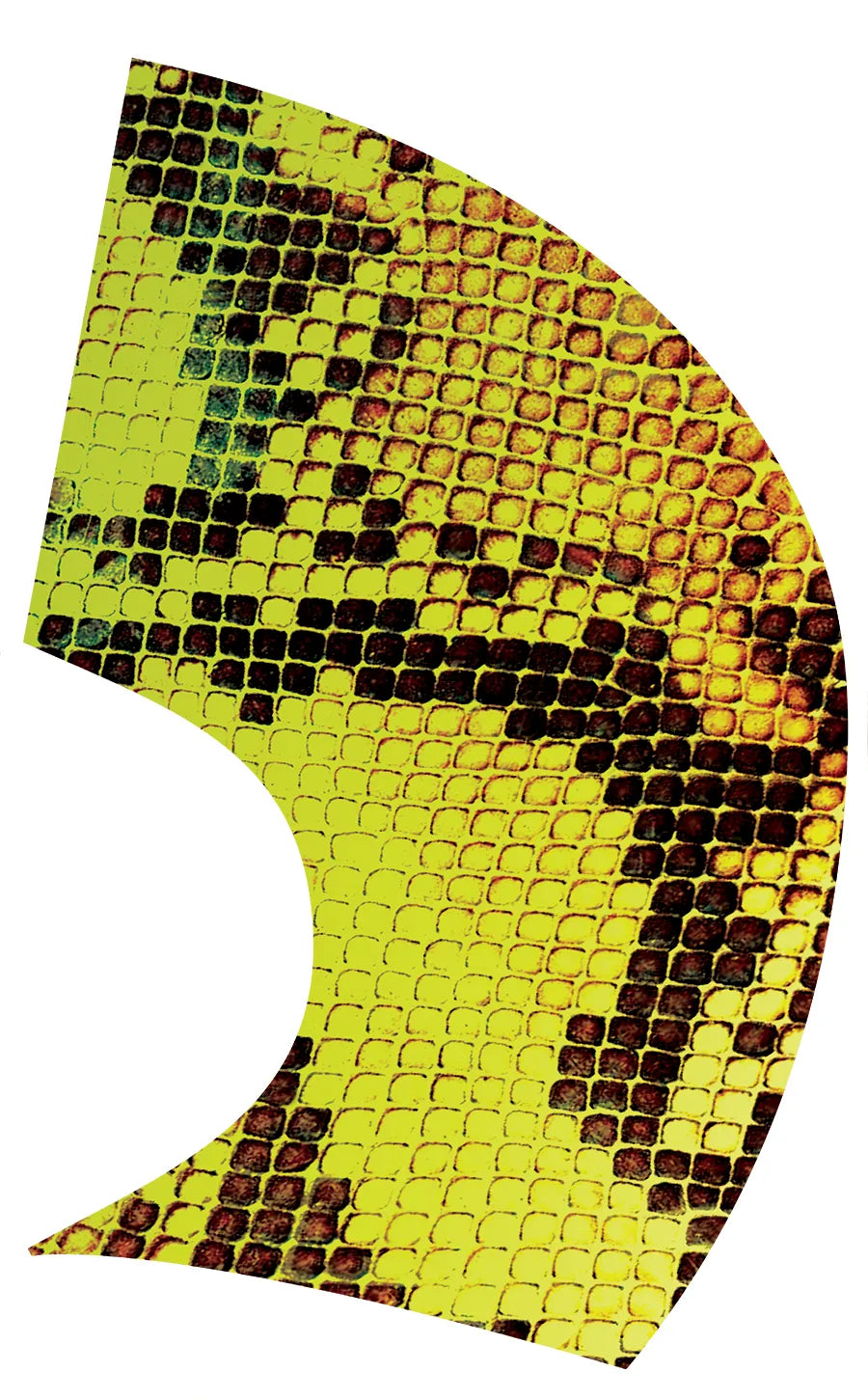 PP-0164-SS