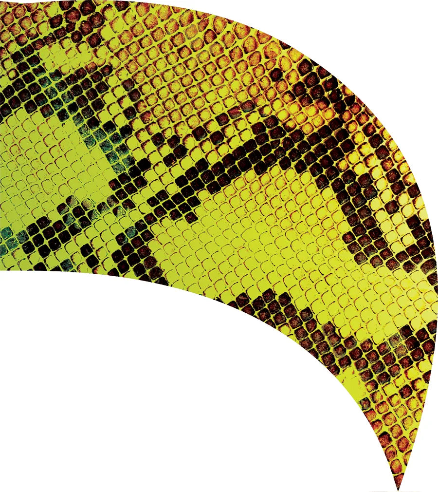 PP-0164-SS
