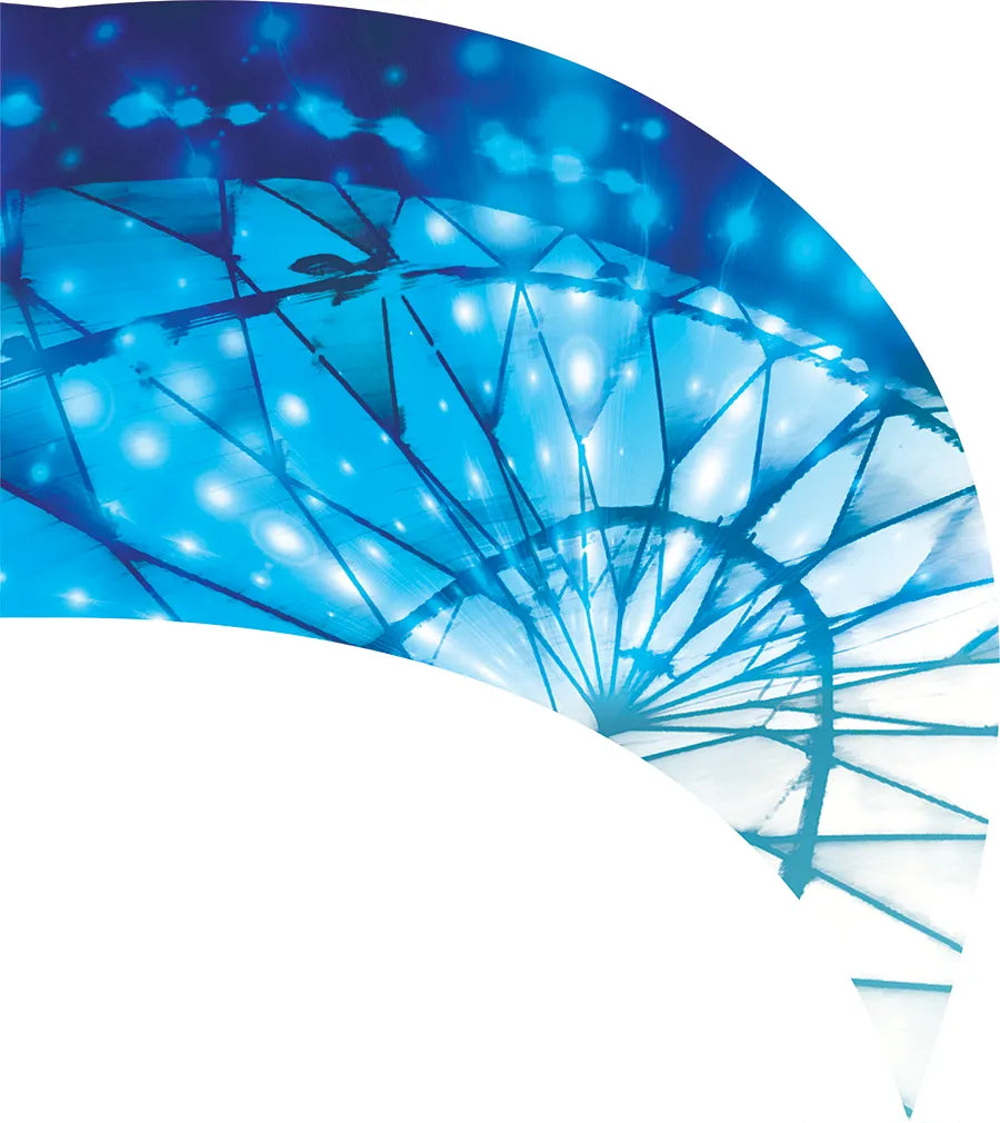 PP-0205-SS