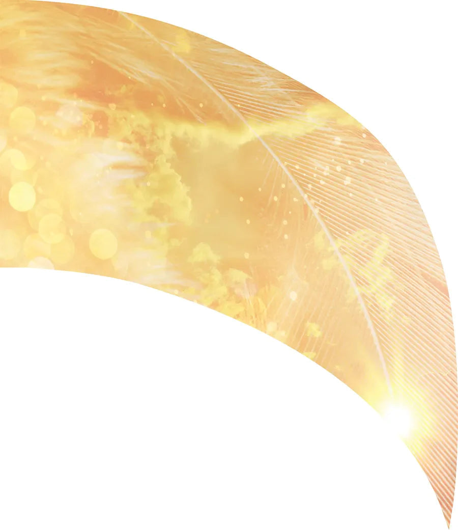PP-0215-SS
