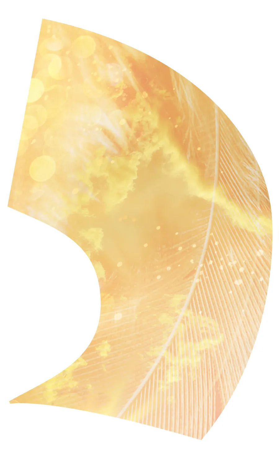 PP-0215-SS