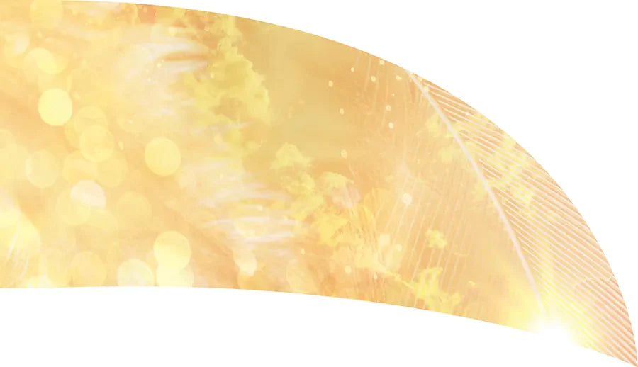 PP-0215-SS
