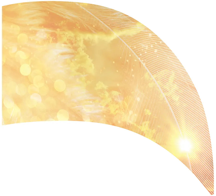 PP-0215-SS