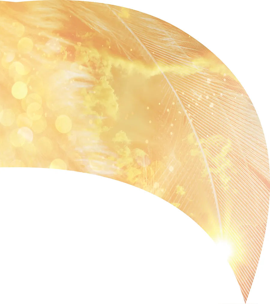 PP-0215-SS