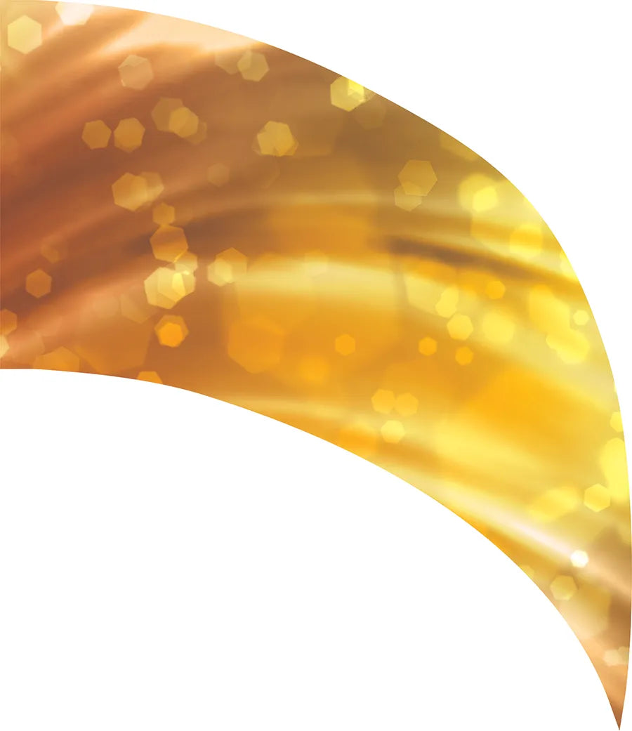 PP-0219-SS