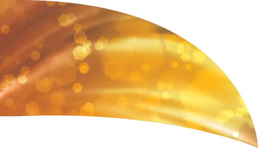 PP-0219-SS
