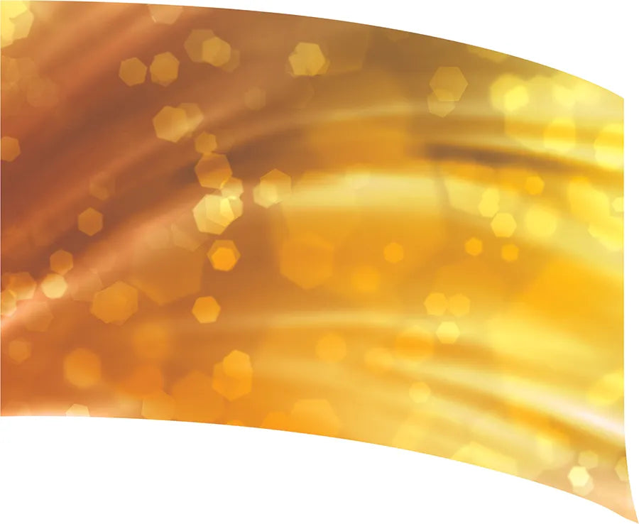 PP-0219-SS