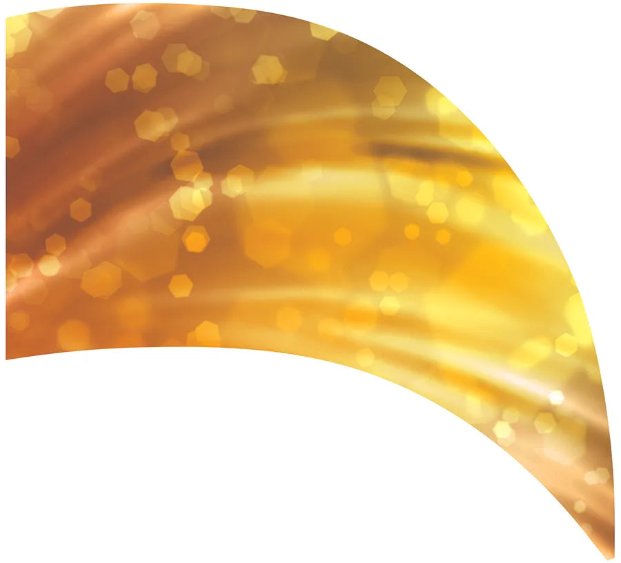 PP-0219-SS