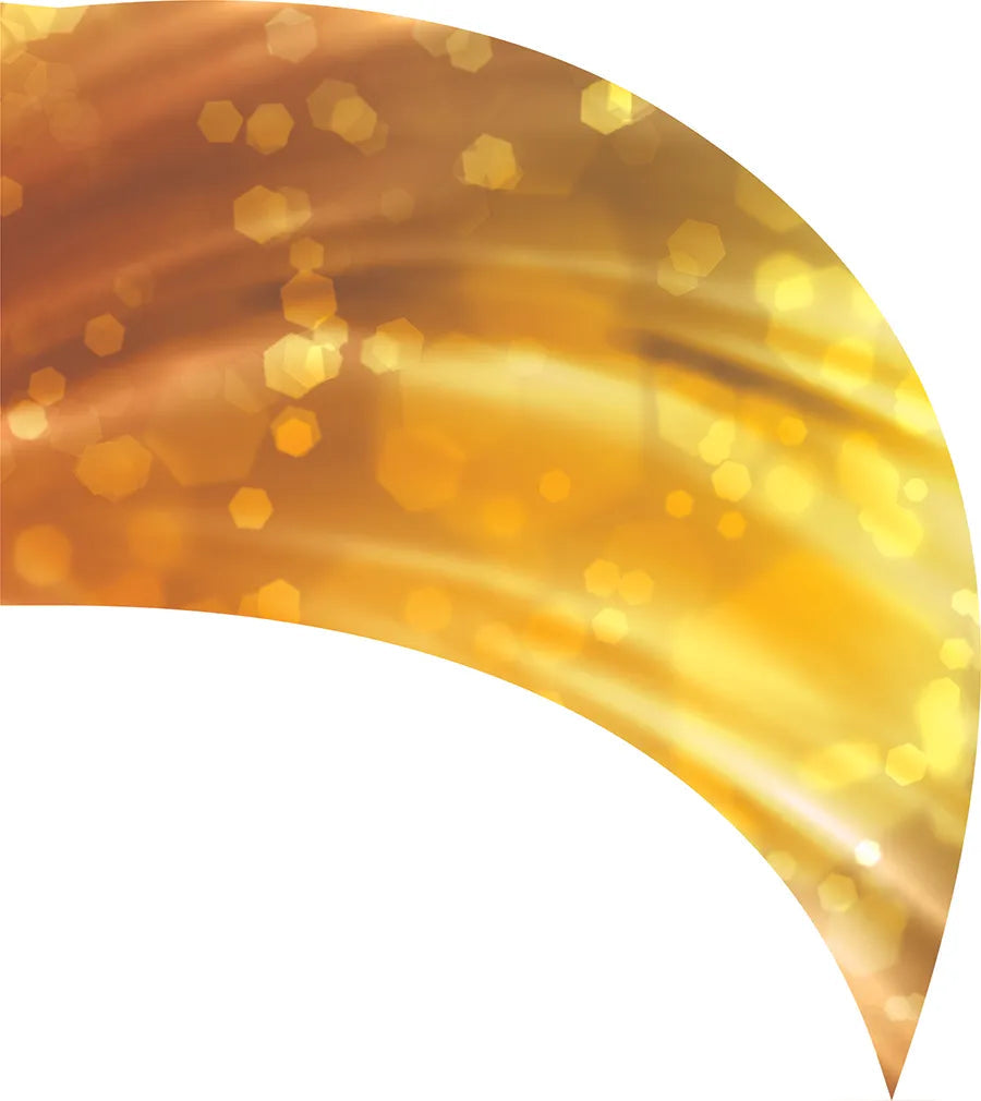 PP-0219-SS