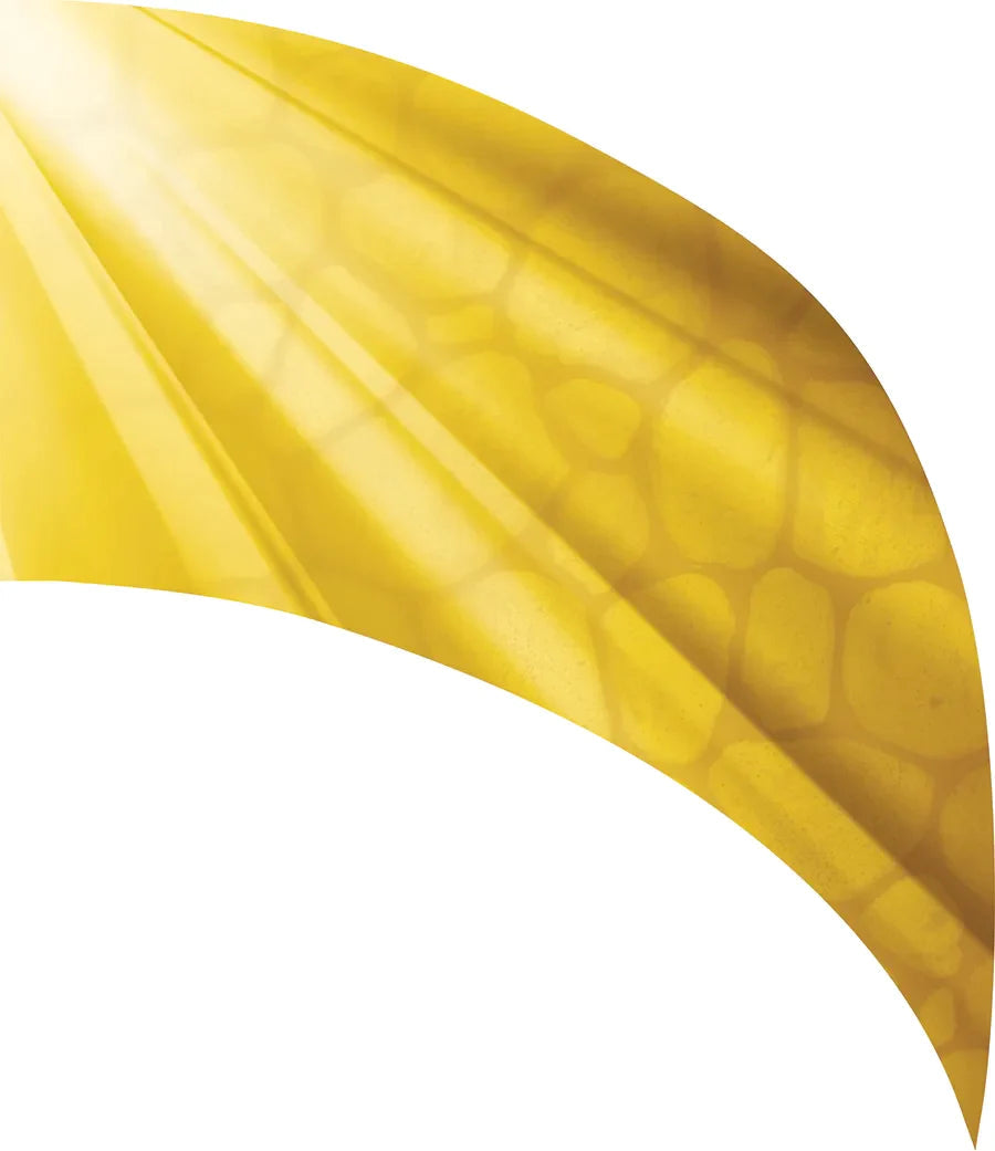 PP-0235-SS