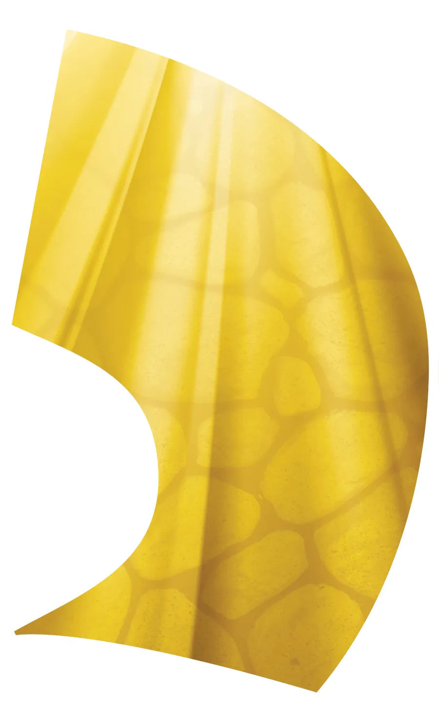 PP-0235-SS