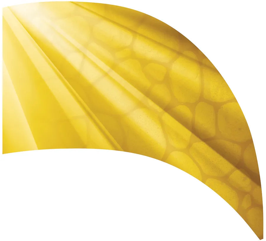 PP-0235-SS