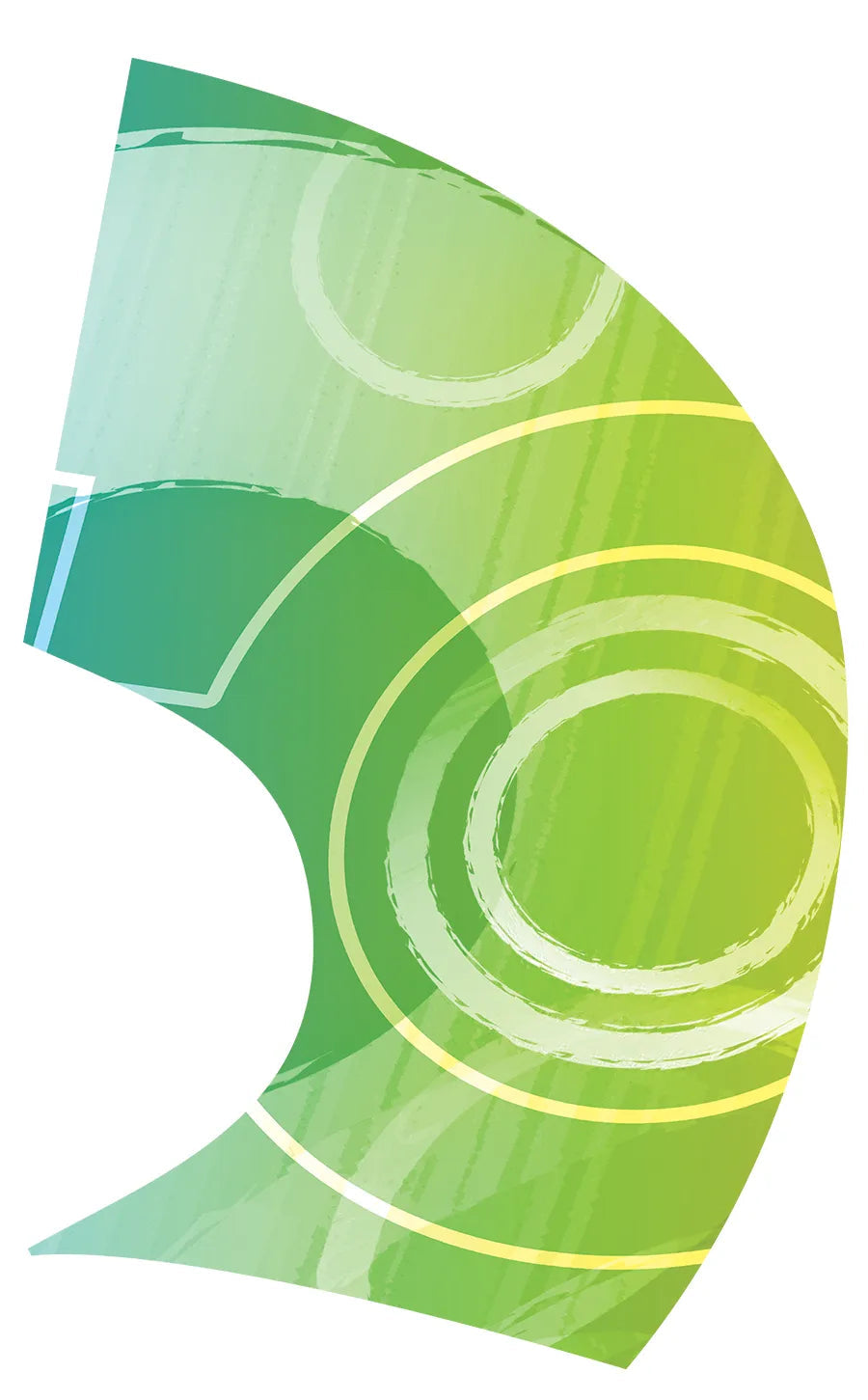 PP-0245-SS
