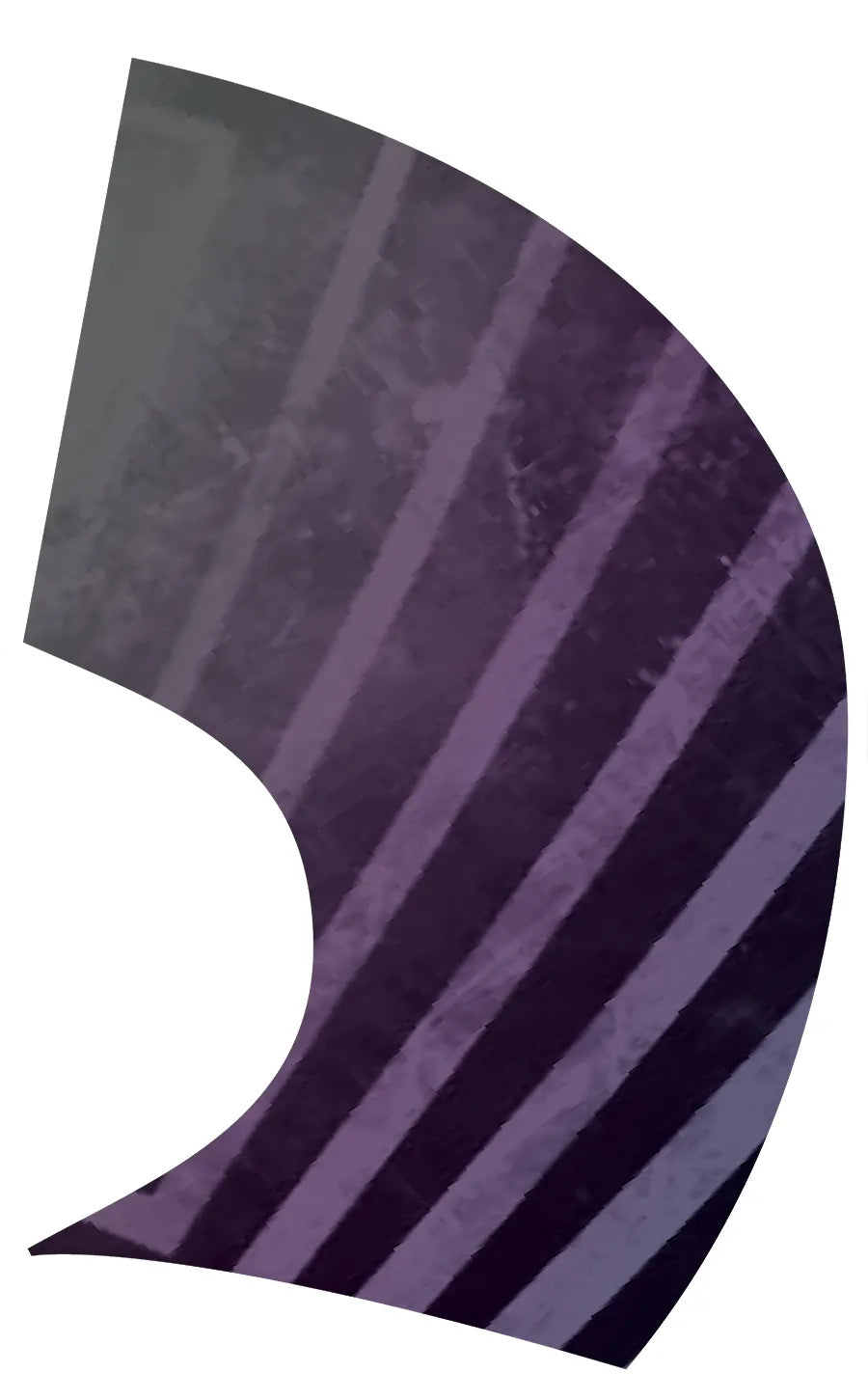 PP-0246-SS